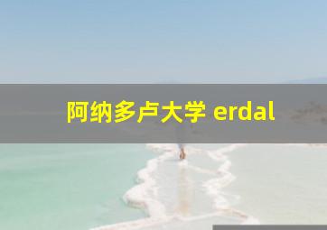 阿纳多卢大学 erdal